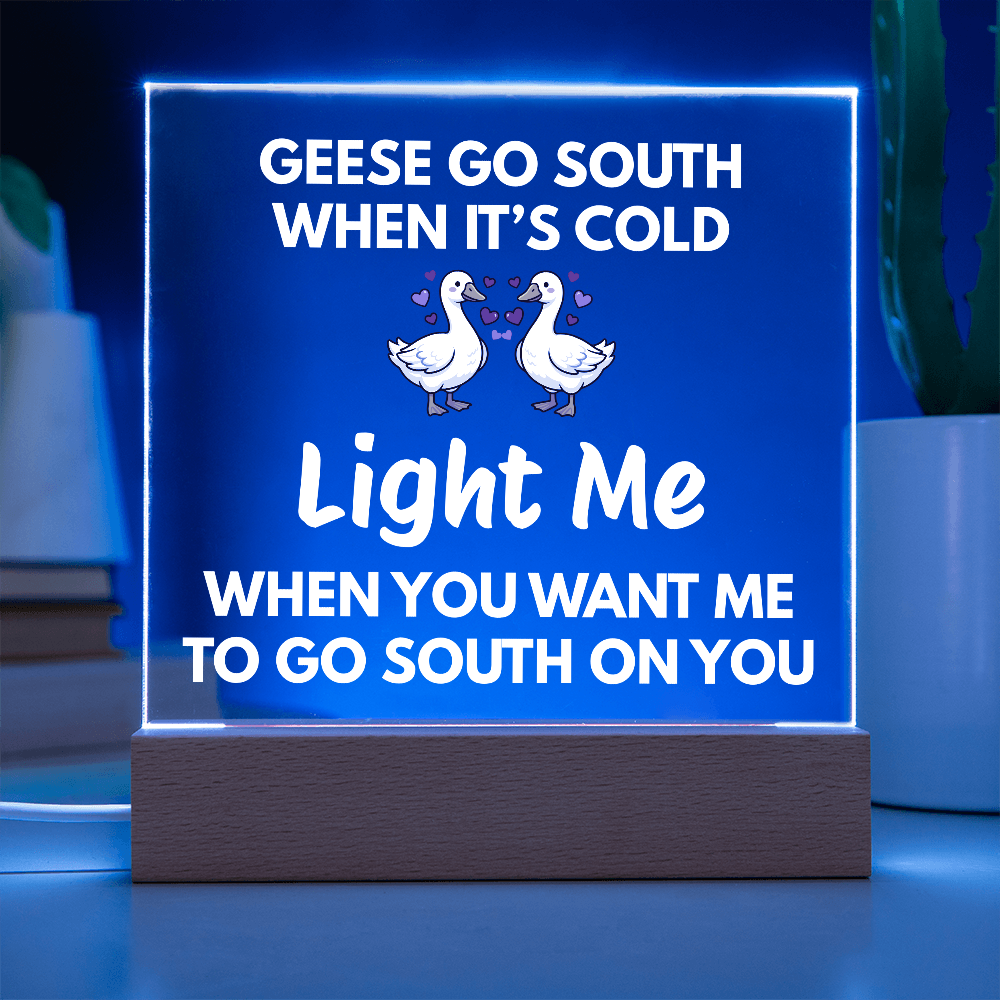 Light Me When You Want Me To Go South On You - Changing Color LED Night Light Plaque