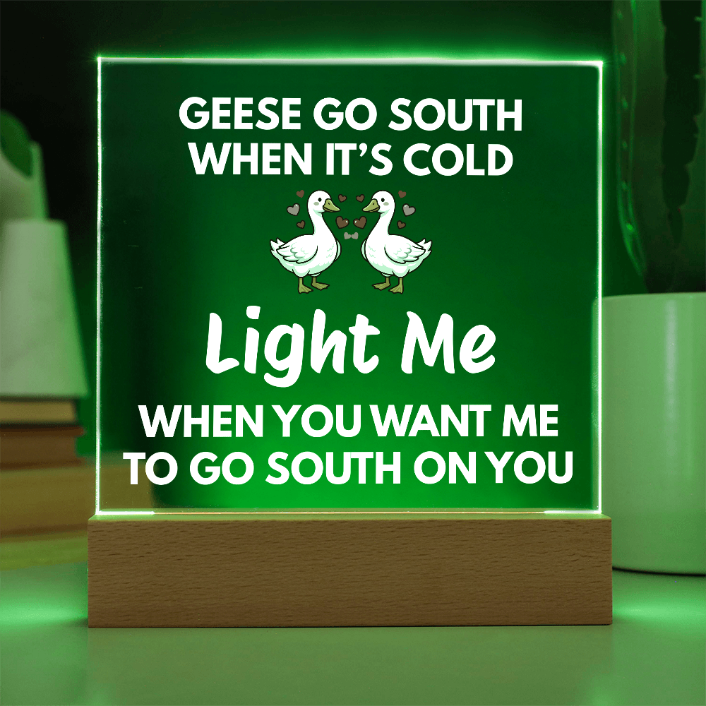 Light Me When You Want Me To Go South On You - Changing Color LED Night Light Plaque