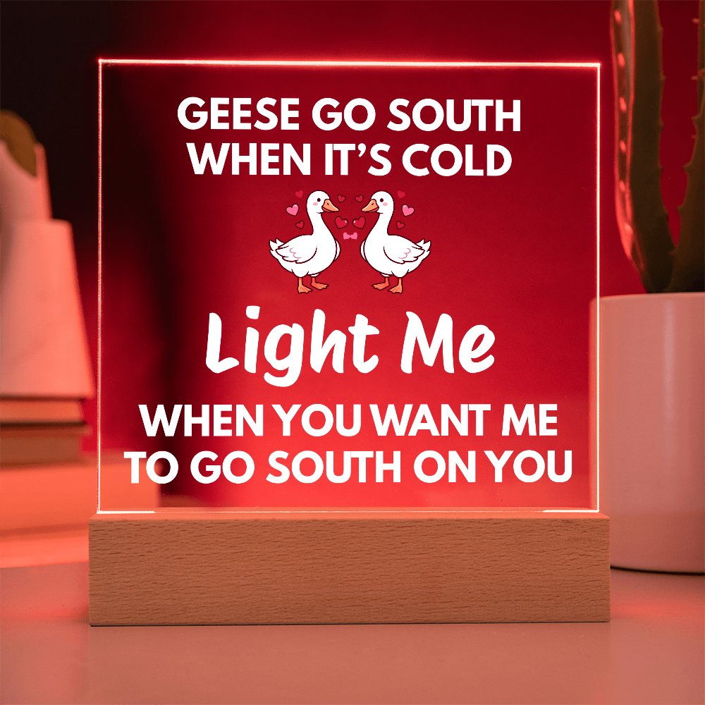 Light Me When You Want Me To Go South On You - Changing Color LED Night Light Plaque