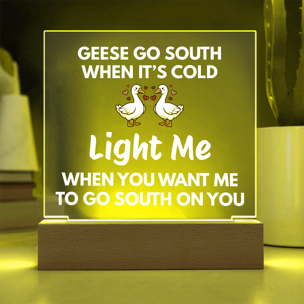 Light Me When You Want Me To Go South On You - Changing Color LED Night Light Plaque