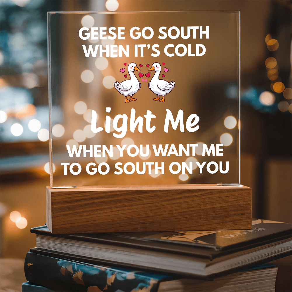 Light Me When You Want Me To Go South On You - Changing Color LED Night Light Plaque