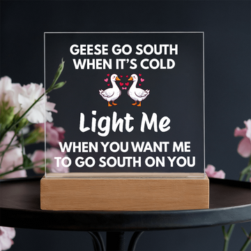 Light Me When You Want Me To Go South On You - Changing Color LED Night Light Plaque